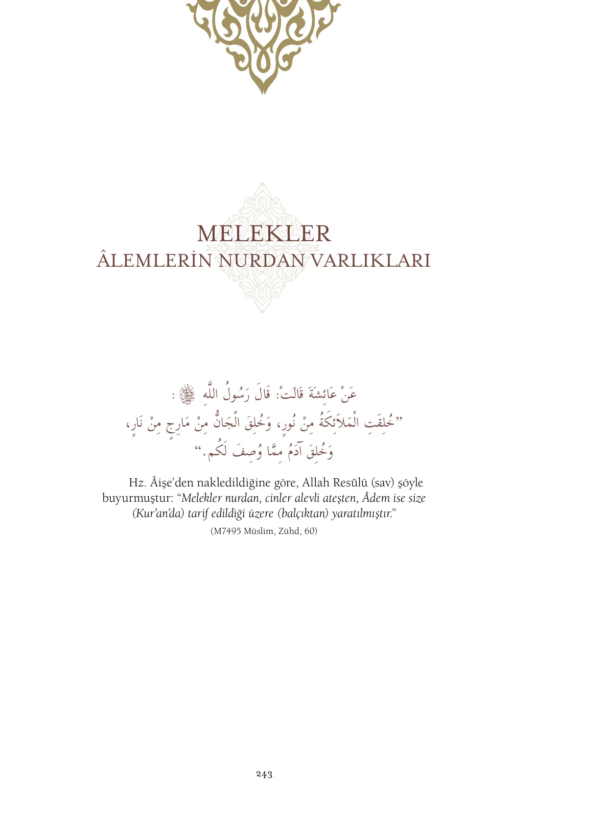 Hadislerle İslâm 1. Cilt, 243. sayfa